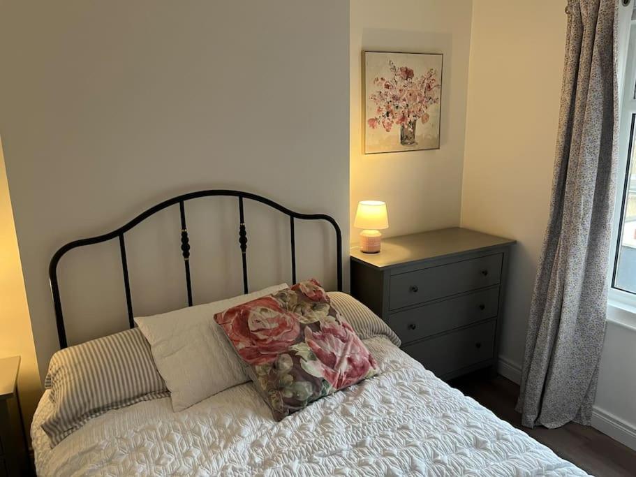 Charming Victorian Terrace, South Hébergement de vacances Belfast